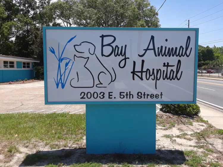Bay Animal Hospital, Florida, Panama City